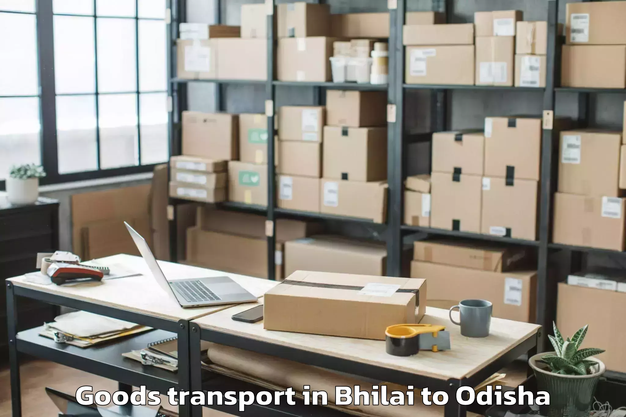 Easy Bhilai to Khordha Goods Transport Booking